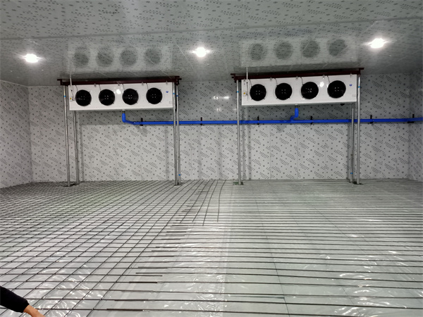 低温冷藏库安装