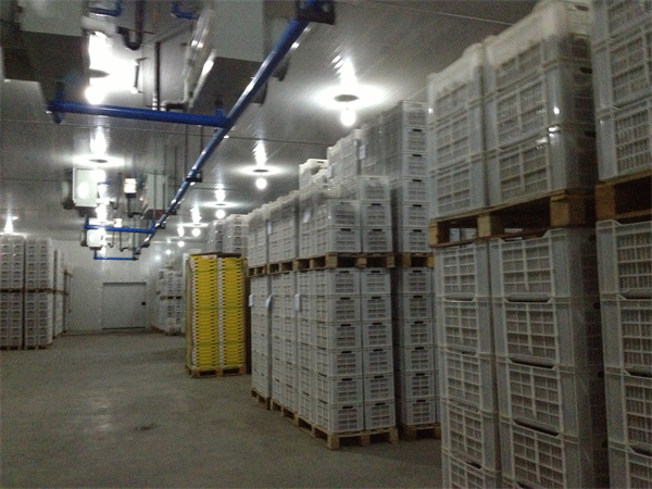 水果保鲜库安装