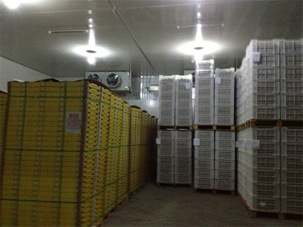 蒲江猕猴桃保鲜库