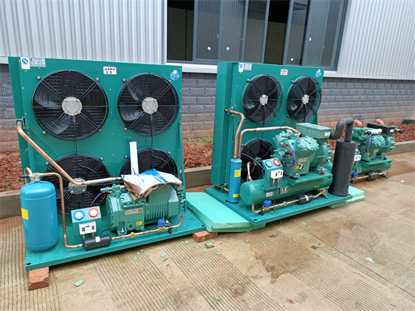 金堂食品加工配套冷库